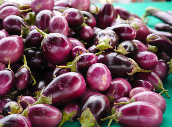 Aubergine