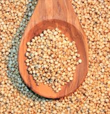 Dégustation de quinoa au Cora de Rocourt (4000)