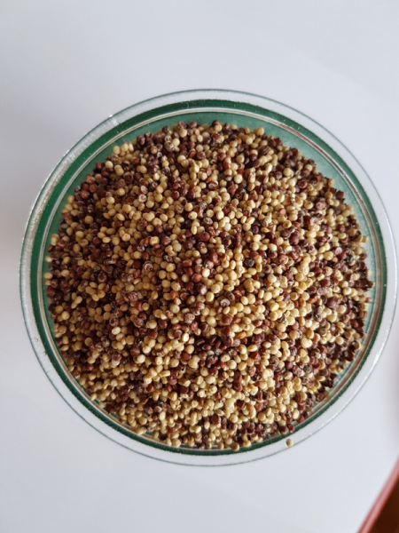 Quinobel Quinoa Belge Farine De Quinoa Pates De Quinoa Flocons