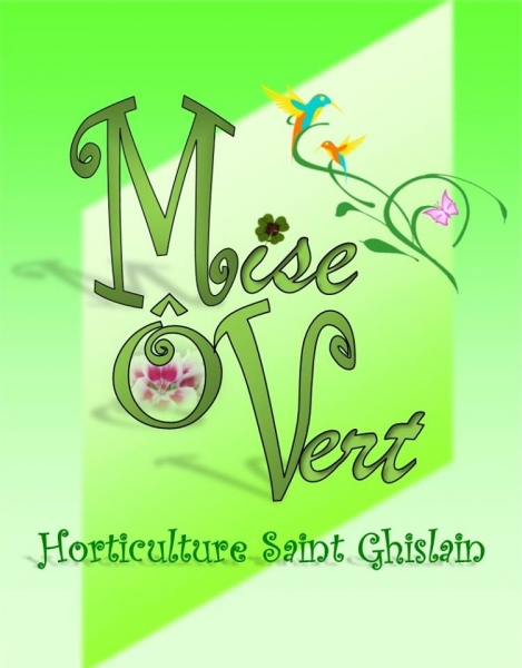 MISE O VERT