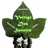 Vertige des Savoirs